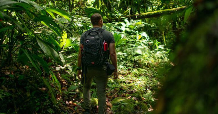 Ecotourism - Man Carrying Black Backpack Standing Beside Trees