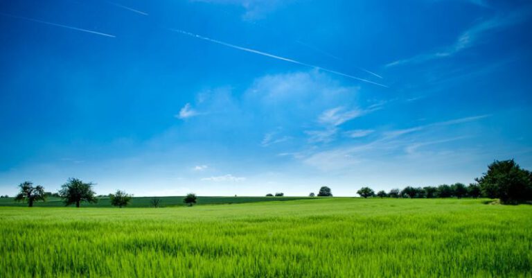 Grasslands - Panoramic Photography of Green Field