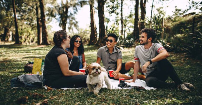 Parks - Group of People Sitting on White Mat on Grass Field