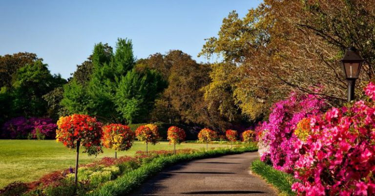 Parks - Gray Concrete Pathway Besides Pink Flower during Day