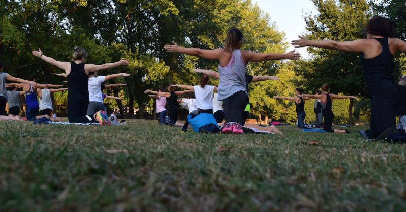 Parks - Women Performing Yoga on Green Grass Near Trees